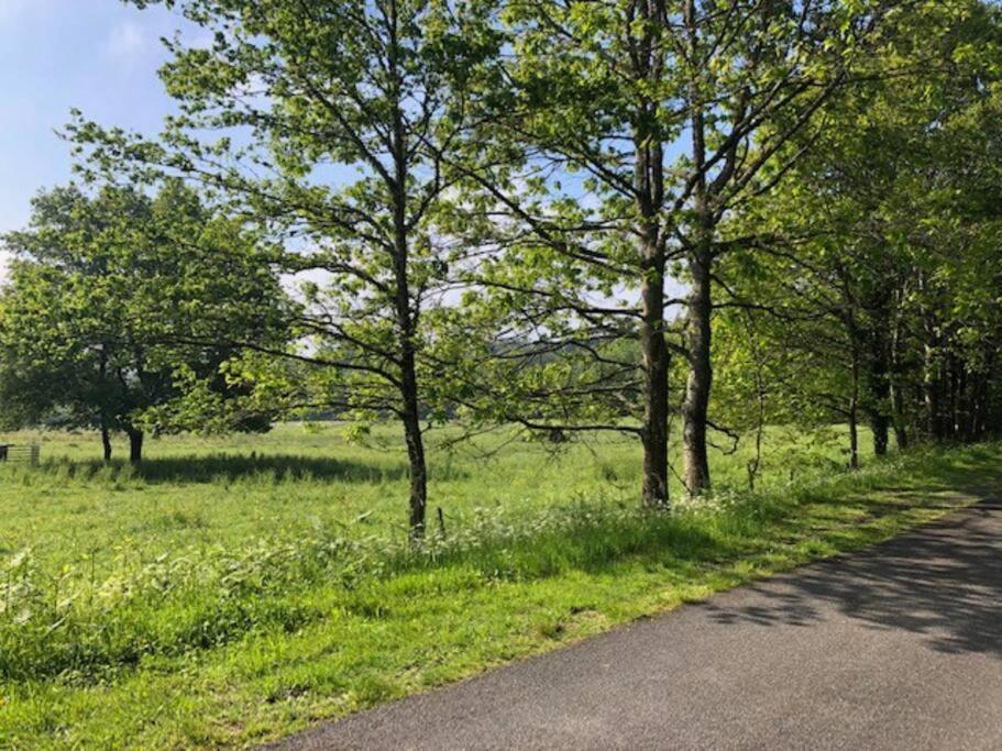 "L'Annexe" Villa Dournazac Eksteriør bilde